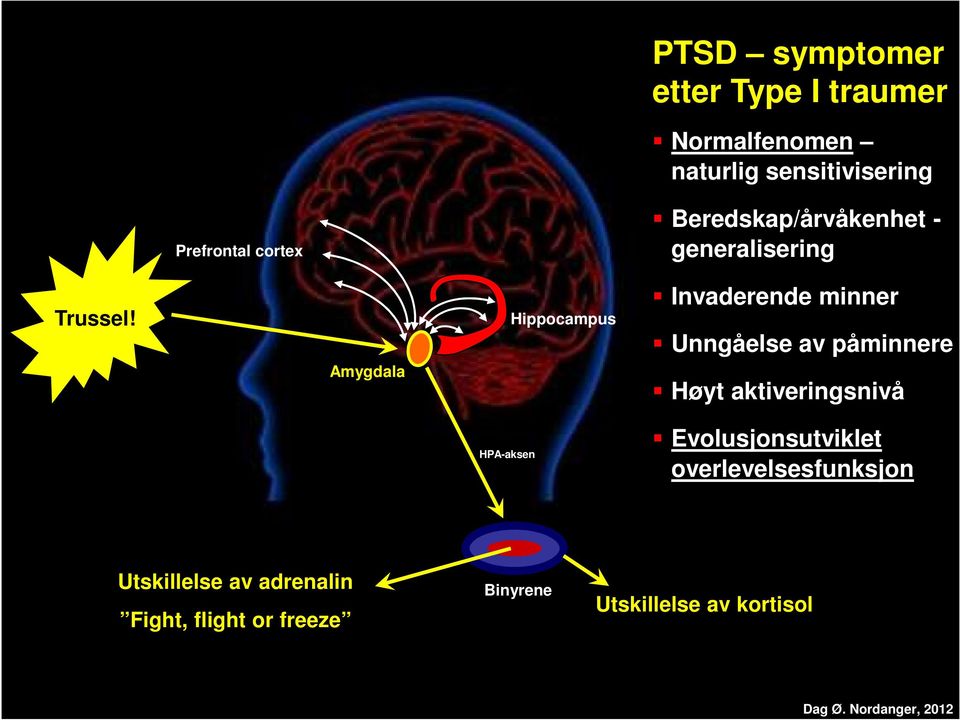 Amygdala Hippocampus Invaderende minner Unngåelse av påminnere Høyt aktiveringsnivå HPA-aksen