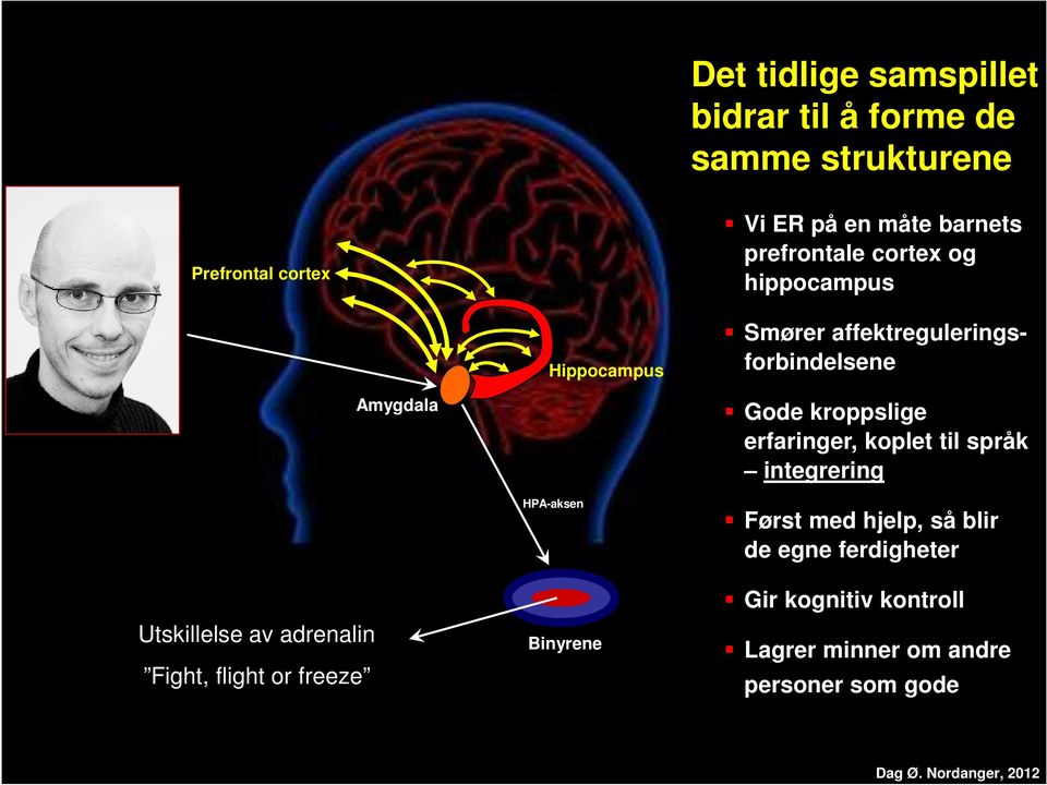 erfaringer, koplet til språk integrering HPA-aksen Først med hjelp, så blir de egne ferdigheter Utskillelse av