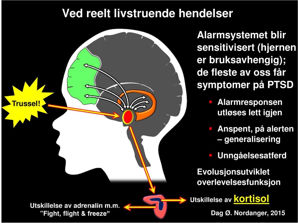 Alarmresponsen utløses lett igjen Anspent, på alerten generalisering Unngåelsesatferd