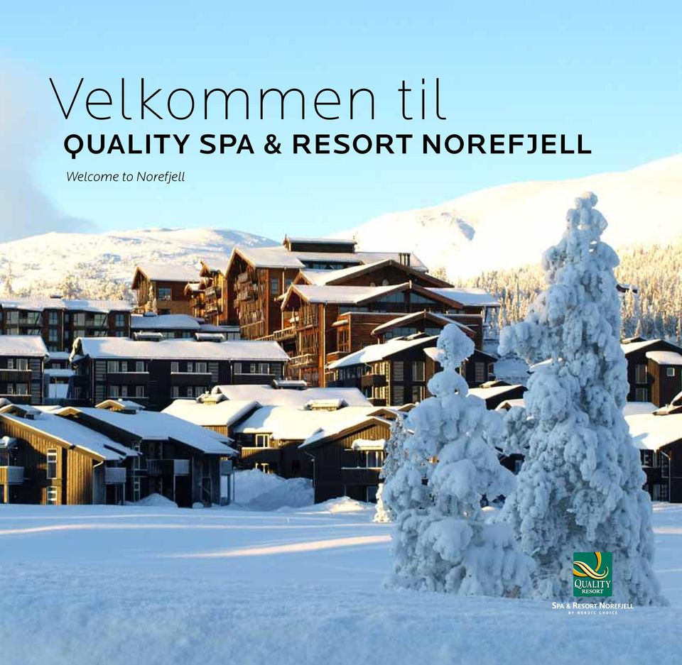Resort Norefjell