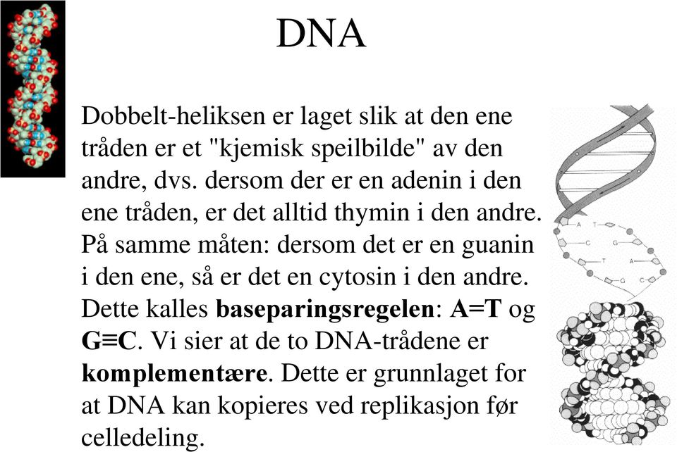 På samme måten: dersom det er en guanin i den ene, så er det en cytosin i den andre.