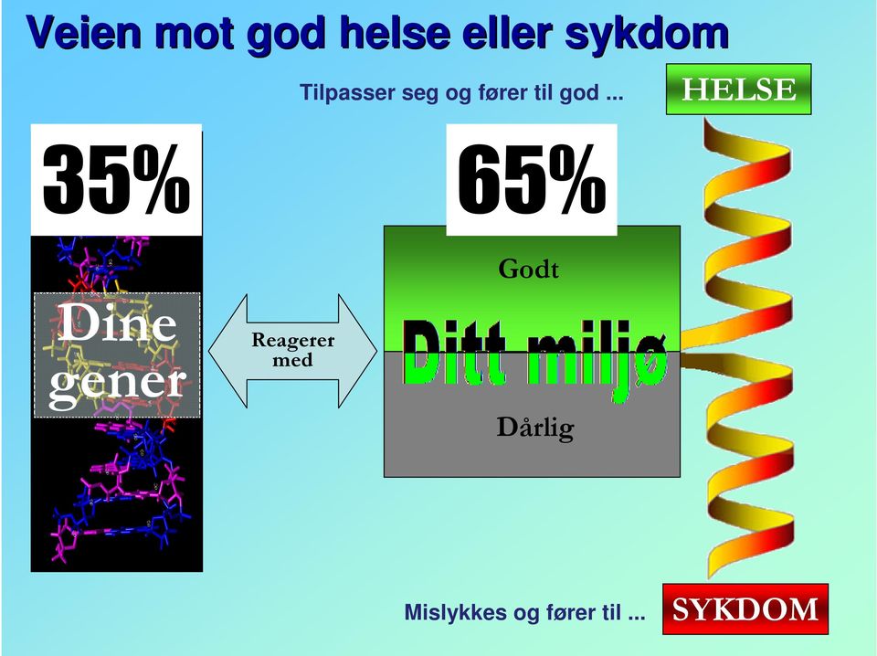 .. 35% 65% Godt HELSE Dine gener