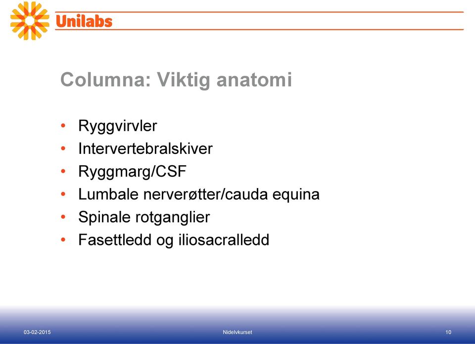 Lumbale nerverøtter/cauda equina