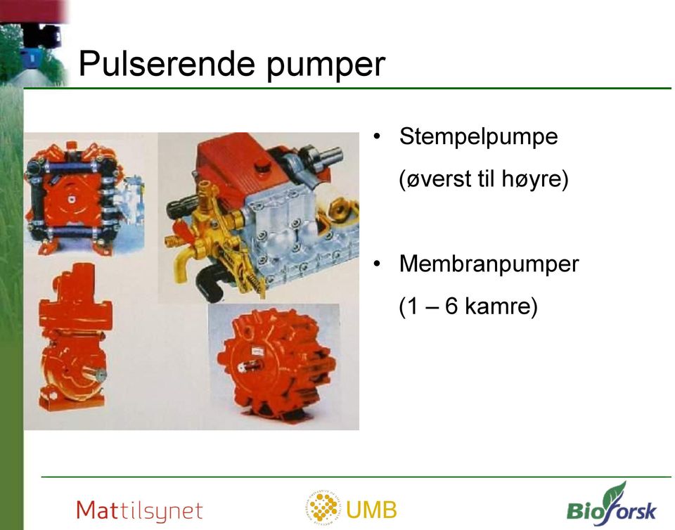 (øverst til høyre)