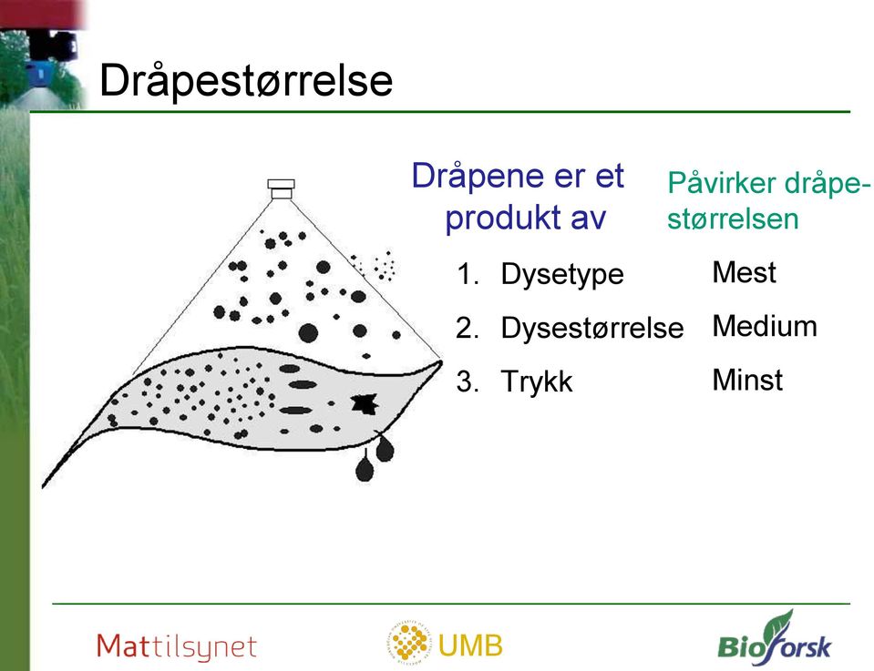 Dysestørrelse 3.