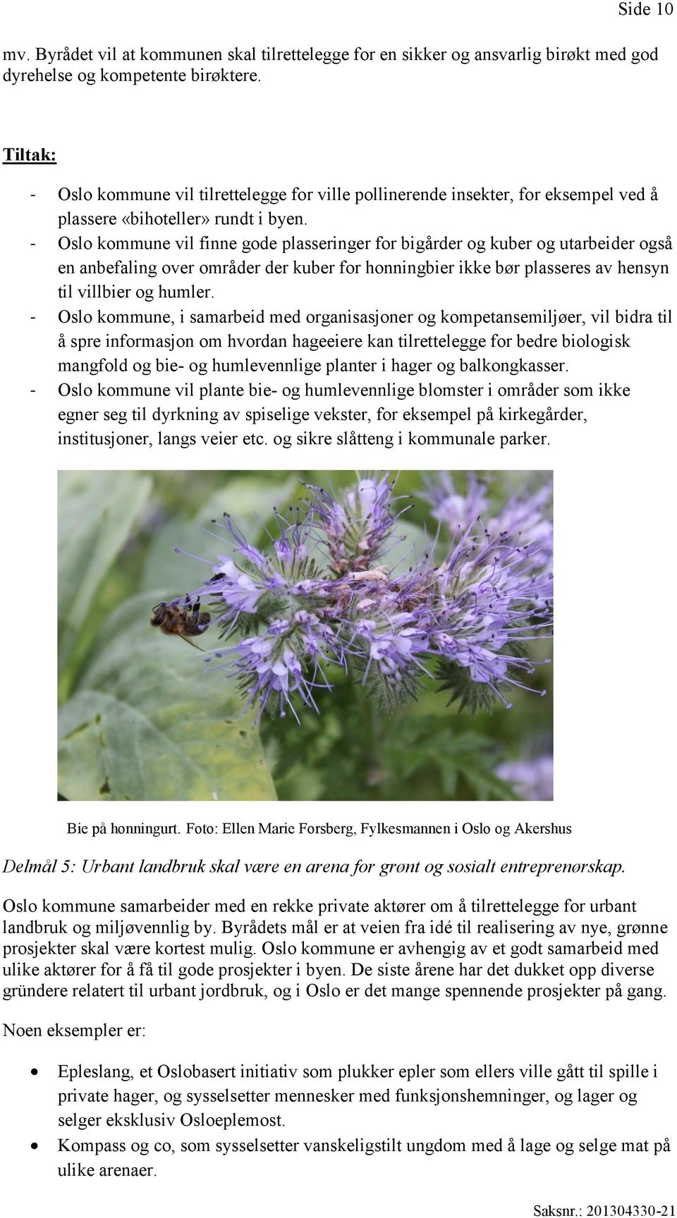- Oslo kommune vil finne gode plasseringer for bigårder og kuber og utarbeider også en anbefaling over områder der kuber for honningbier ikke bør plasseres av hensyn til villbier og humler.