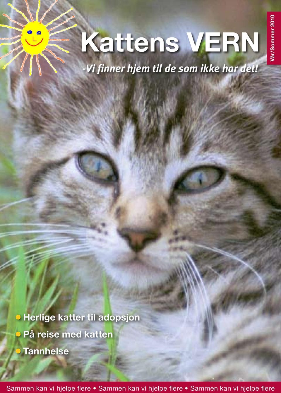 med katten Tannhelse Sammen kan vi hjelpe flere