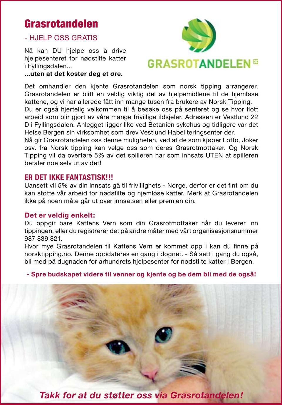 Grasrotandelen er blitt en veldig viktig del av hjelpemidlene til de hjemløse kattene, og vi har allerede fått inn mange tusen fra brukere av Norsk Tipping.