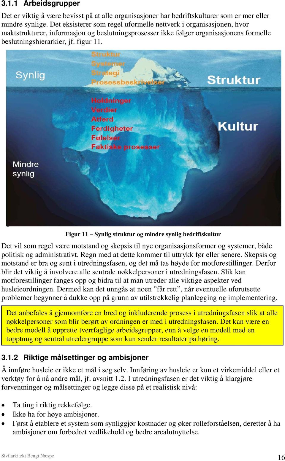 Figur 11 Synlig struktur og mindre synlig bedriftskultur Det vil som regel være motstand og skepsis til nye organisasjonsformer og systemer, både politisk og administrativt.