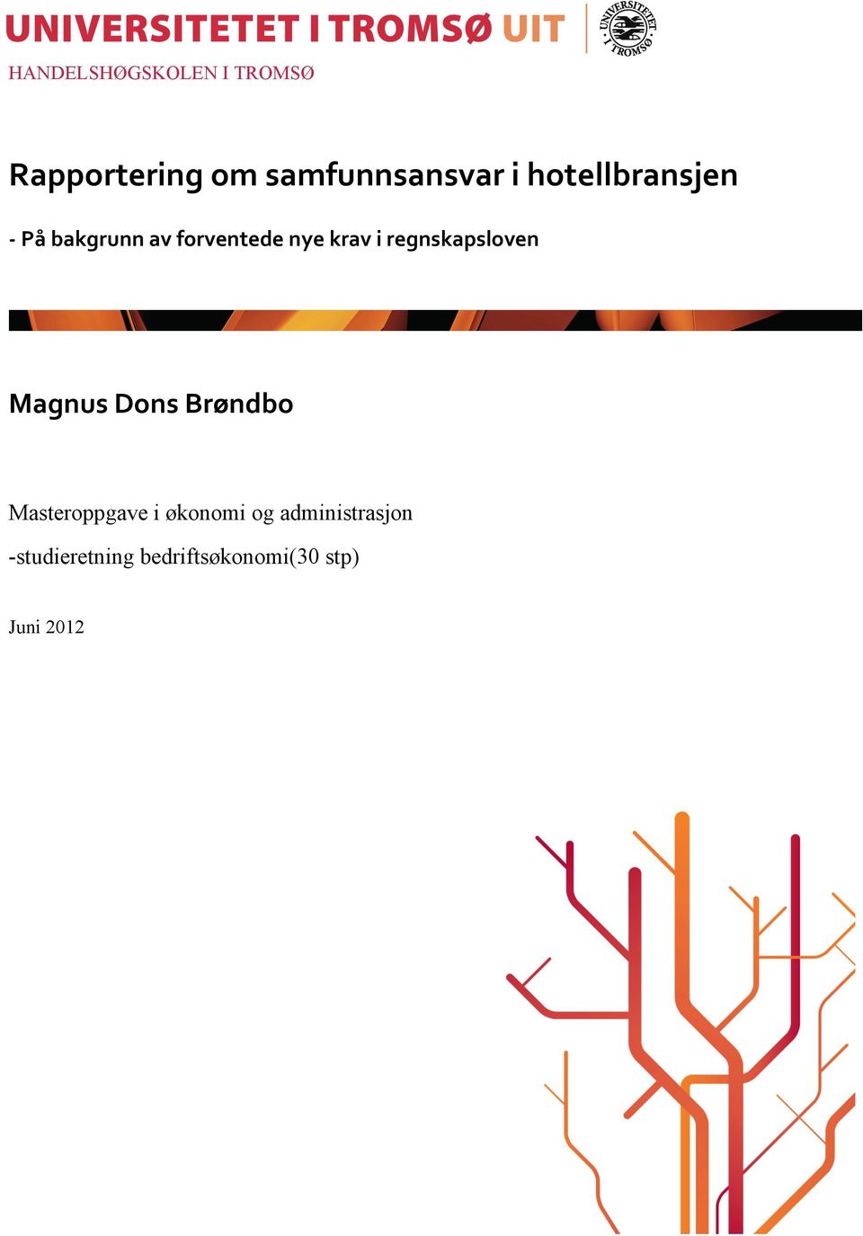 regnskapsloven Magnus Dons Brøndbo Masteroppgave i økonomi