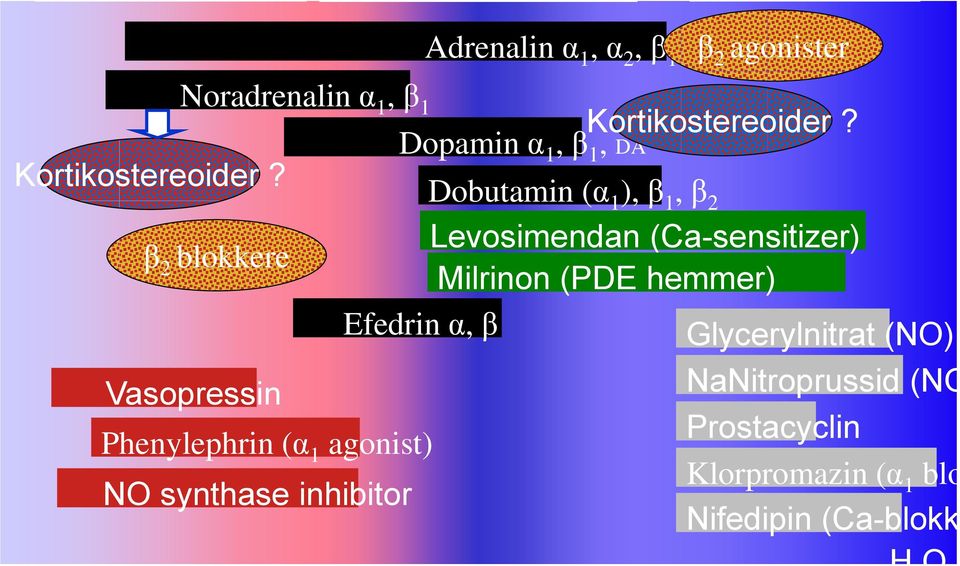 Dobutamin (α 1 ), β 1, β 2 Levosimendan (Ca-sensitizer) β 2 blokkere Milrinon (PDE hemmer) Efedrin α, β