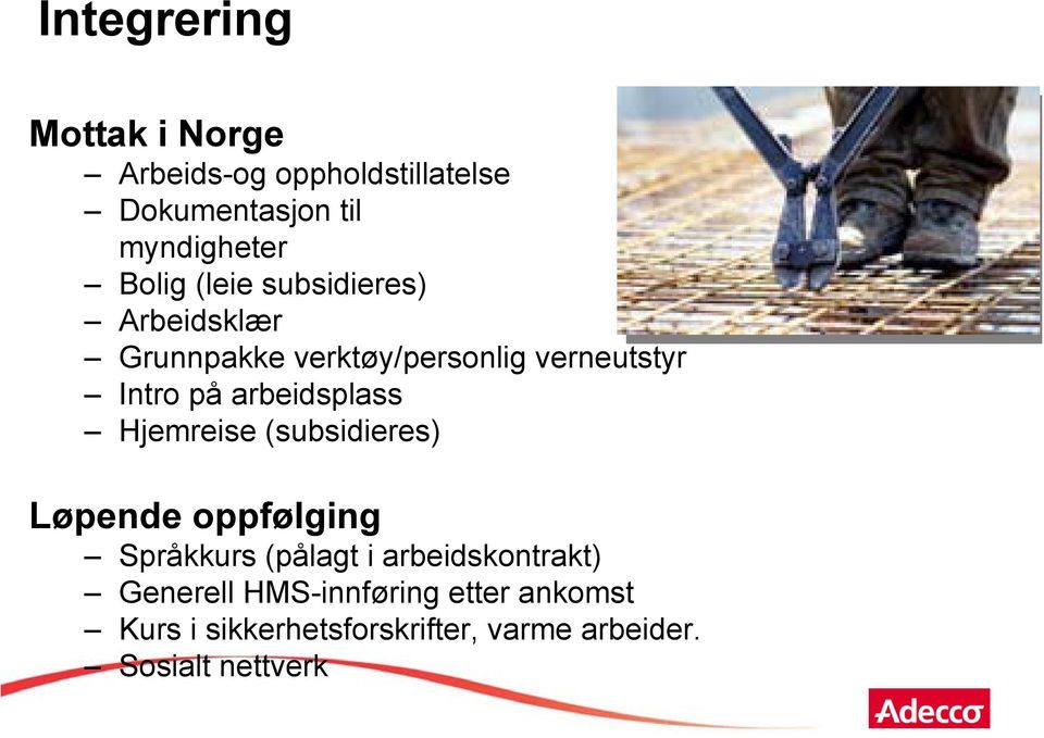 arbeidsplass Hjemreise (subsidieres) Løpende oppfølging Språkkurs (pålagt i