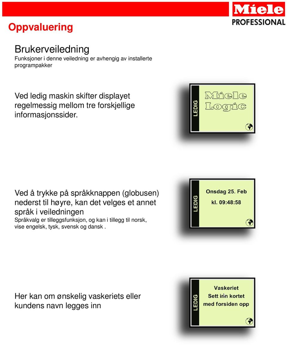 Ved å trykke på språkknappen (globusen) nederst til høyre, kan det velges et annet språk i veiledningen