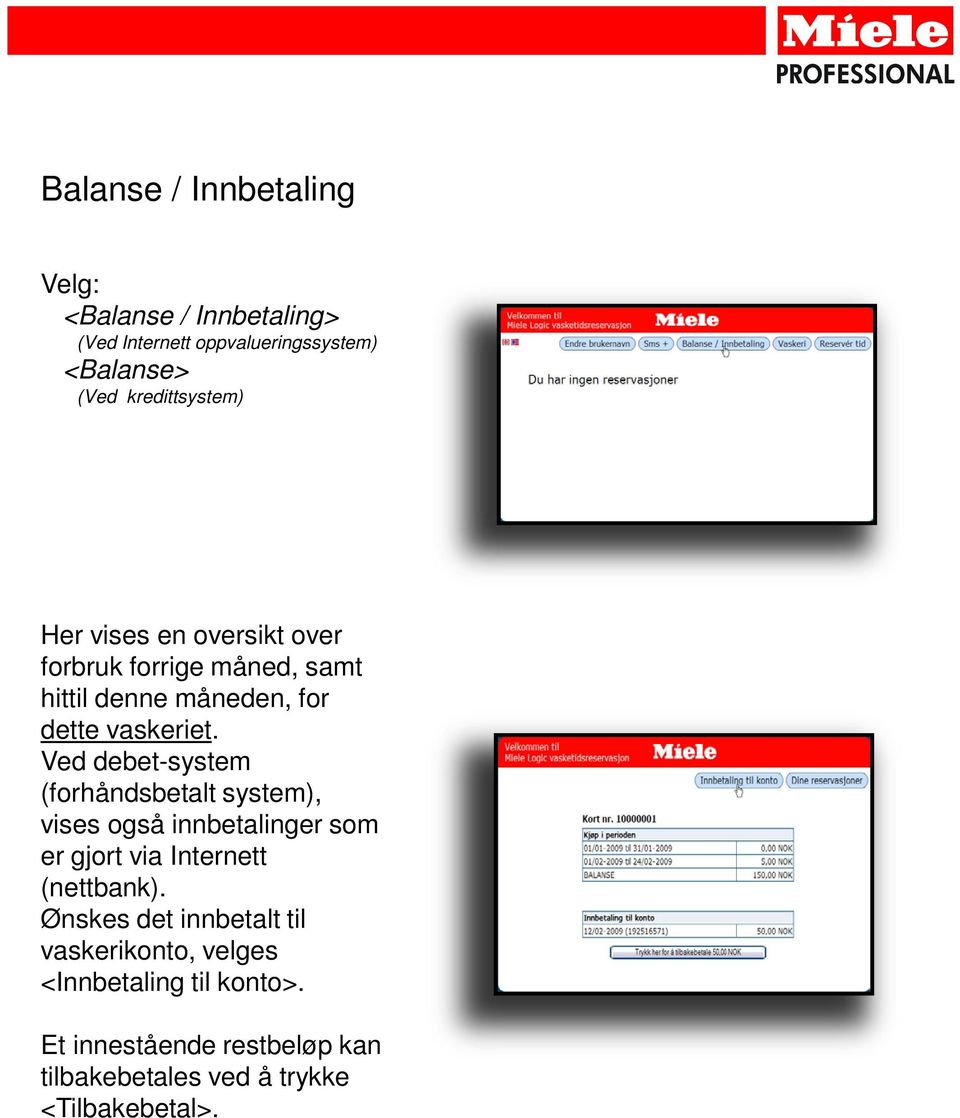 Ved debet-system (forhåndsbetalt system), vises også innbetalinger som er gjort via Internett (nettbank).