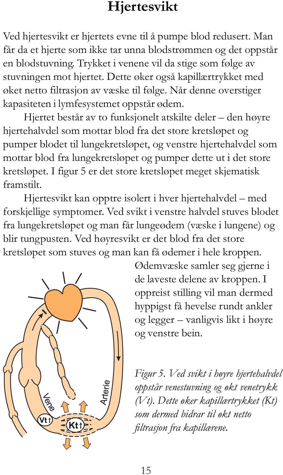 Når denne overstiger kapasiteten i lymfesystemet oppstår ødem.