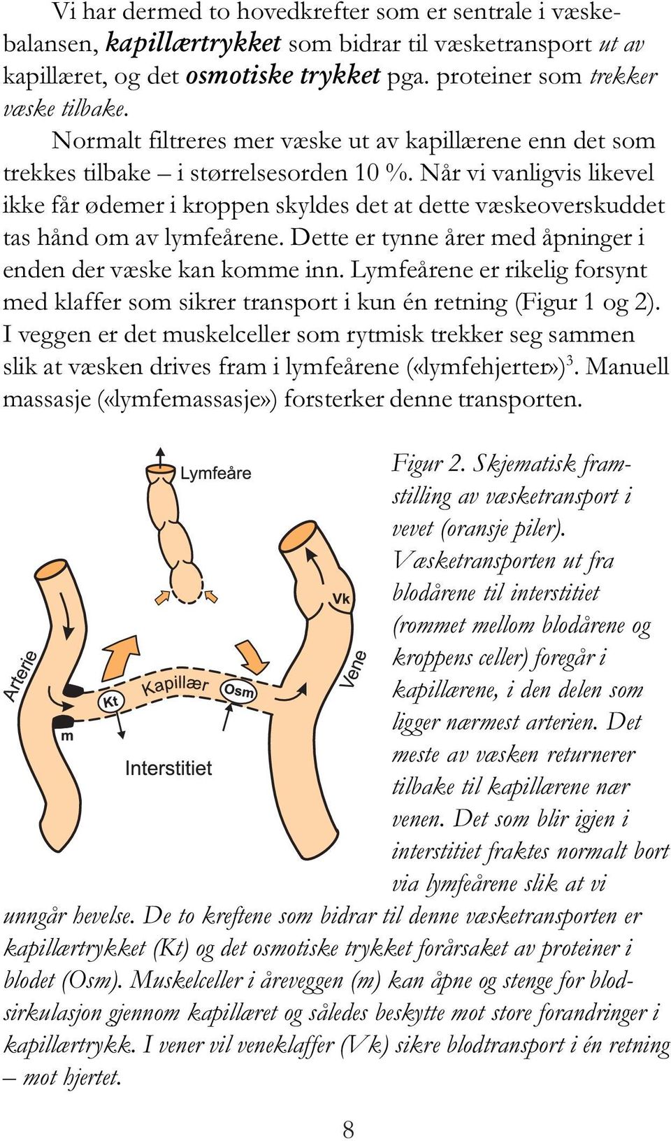 Når vi vanligvis likevel ikke får ødemer i kroppen skyldes det at dette væskeoverskuddet tas hånd om av lymfeårene. Dette er tynne årer med åpninger i enden der væske kan komme inn.