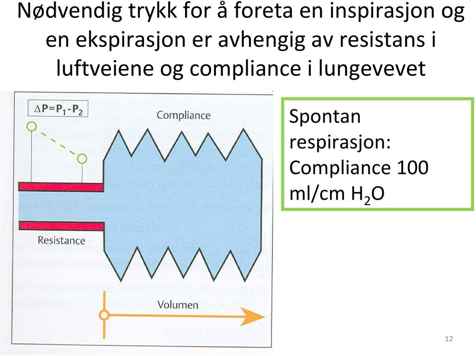 i luftveiene og compliance i lungevevet