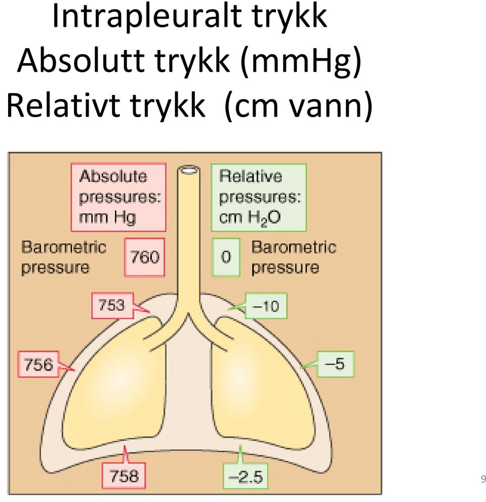 trykk (mmhg)