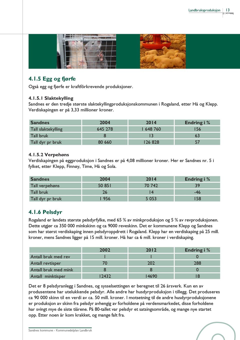 Her er Sandnes nr. 5 i fylket, etter Klepp, Finnøy, Time, Hå og Sola. Sandnes 2004 2014 Endring i % Tall verpehøns 50 851 70 742 39 Tall bruk 26 14-46 Tall dyr pr bruk 1 956 5 053 158 4.1.6 Pelsdyr Rogaland er landets største pelsdyrfylke, med 65 % av minkproduksjon og 5 % av revproduksjonen.