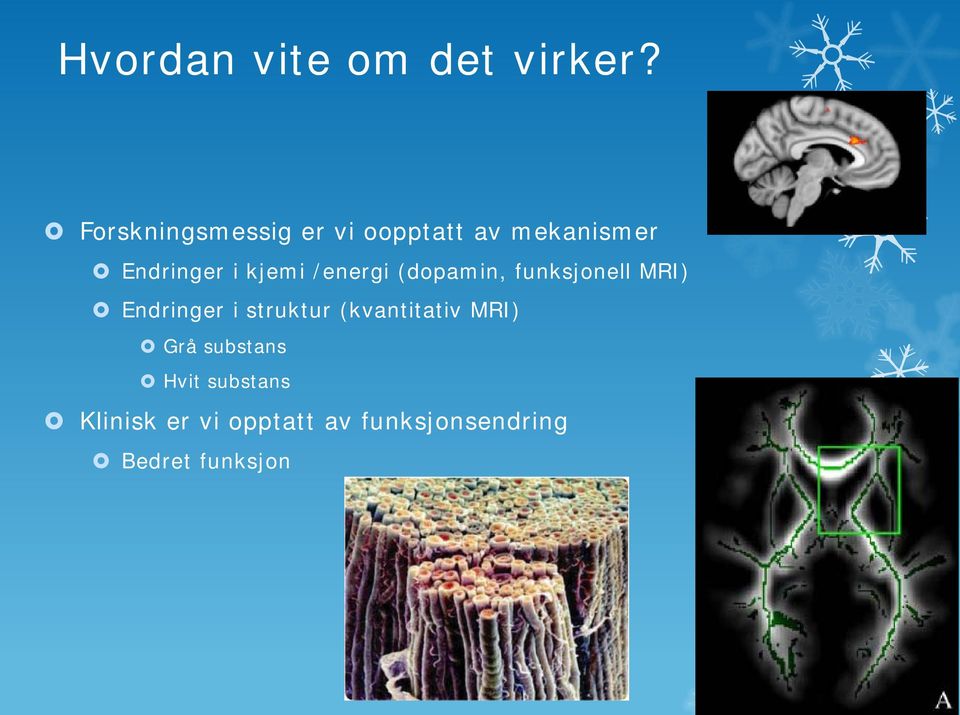 kjemi /energi (dopamin, funksjonell MRI) Endringer i struktur