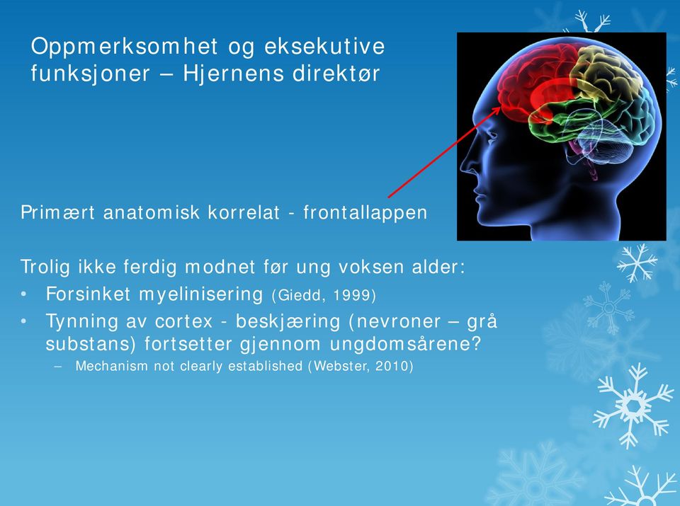 Forsinket myelinisering (Giedd, 1999) Tynning av cortex - beskjæring (nevroner