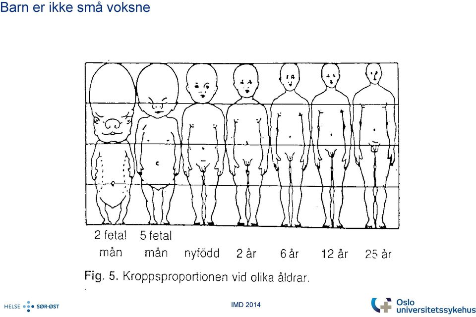 voksne