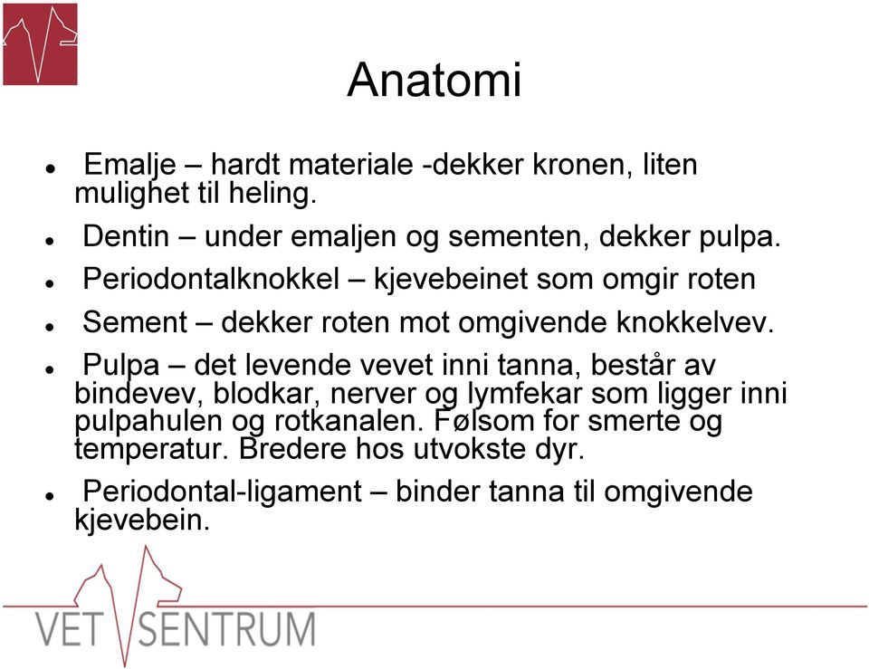 Periodontalknokkel kjevebeinet som omgir roten Sement dekker roten mot omgivende knokkelvev.