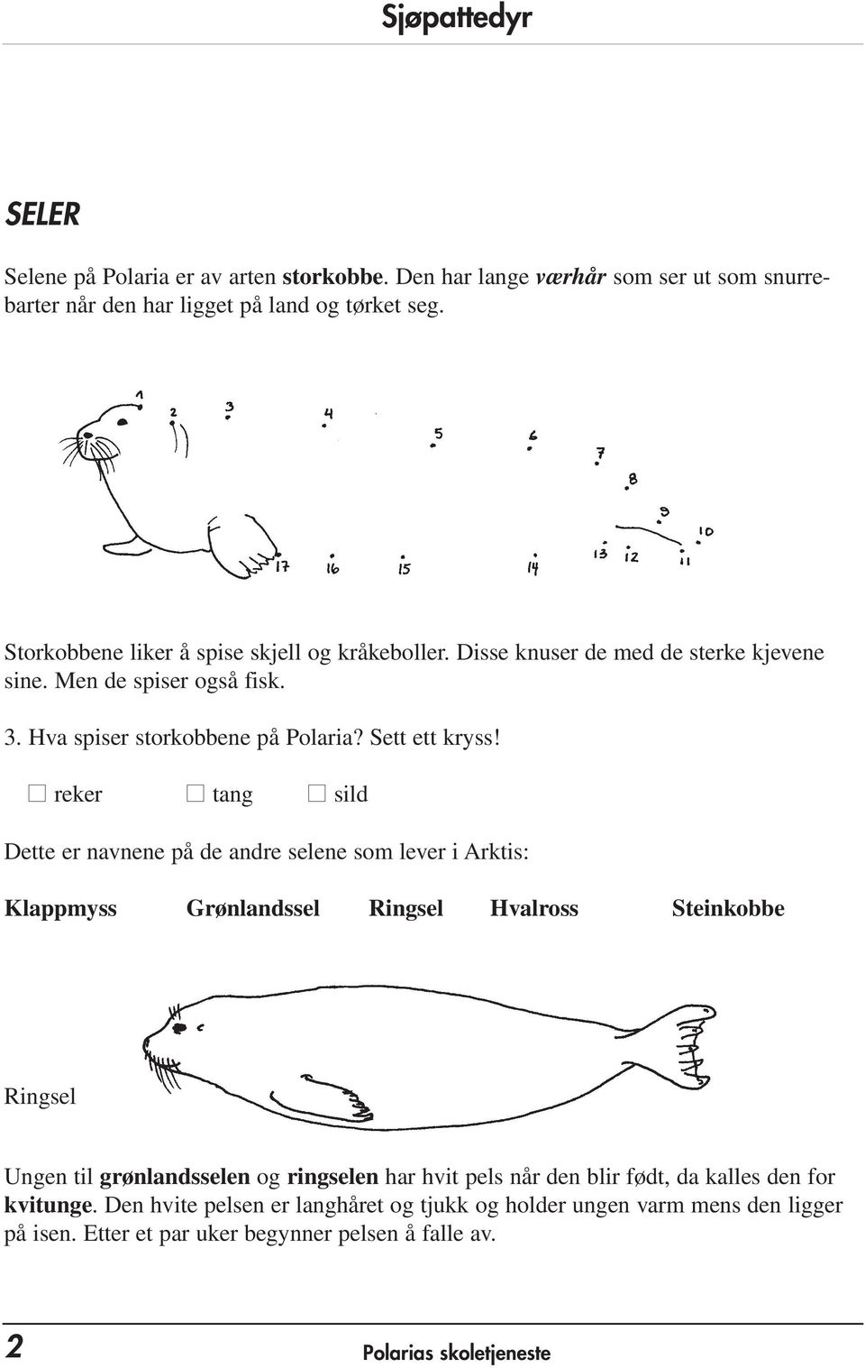 reker tang sild Dette er navnene på de andre selene som lever i Arktis: Klappmyss Grønlandssel Ringsel Hvalross Steinkobbe Ringsel Ungen til grønlandsselen og ringselen har