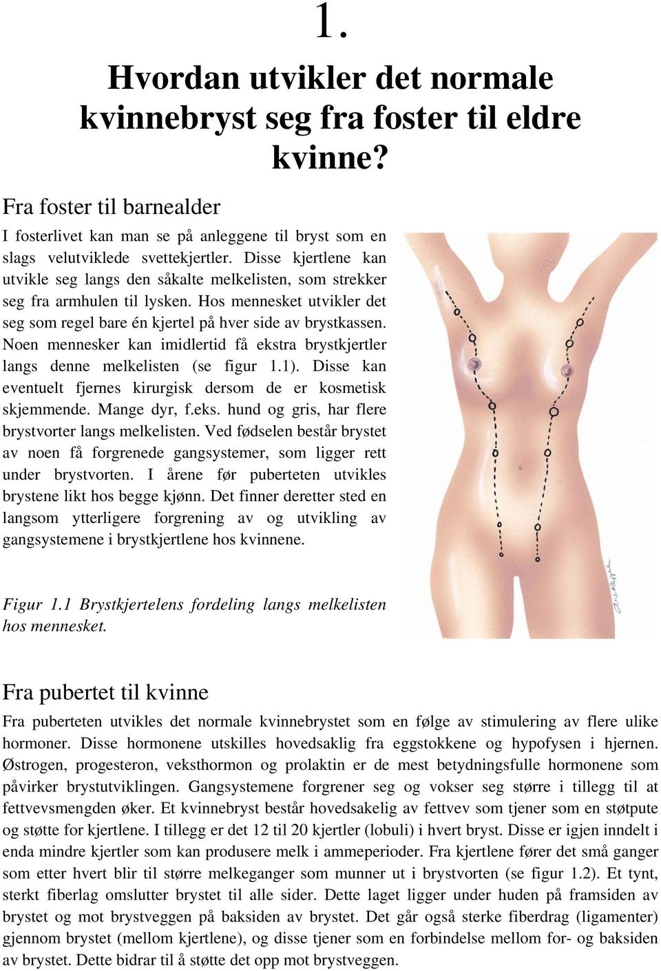 Noen mennesker kan imidlertid få ekstra brystkjertler langs denne melkelisten (se figur 1.1). Disse kan eventuelt fjernes kirurgisk dersom de er kosmetisk skjemmende. Mange dyr, f.eks. hund og gris, har flere brystvorter langs melkelisten.