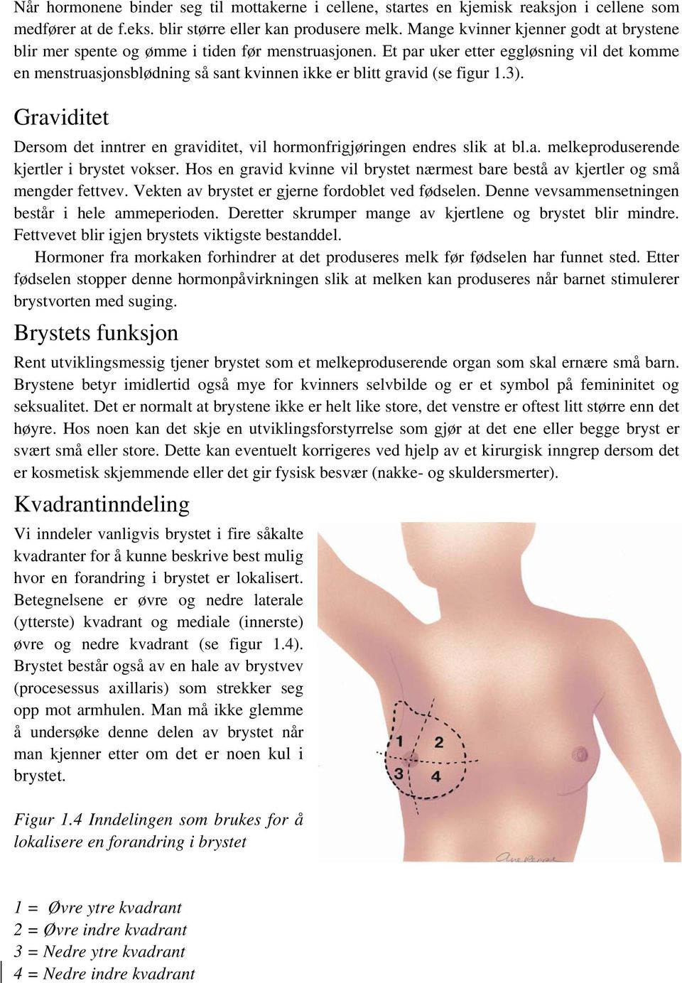 Et par uker etter eggløsning vil det komme en menstruasjonsblødning så sant kvinnen ikke er blitt gravid (se figur 1.3).