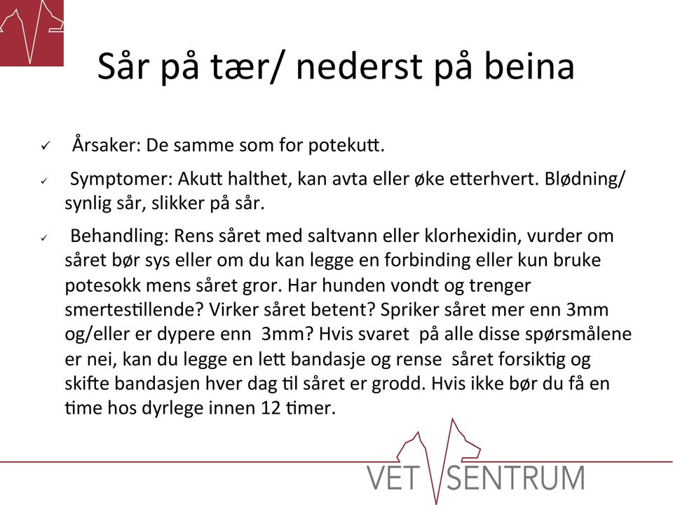 Har hunden vondt og trenger smertes=llende? Virker såret betent? Spriker såret mer enn 3mm og/eller er dypere enn 3mm?