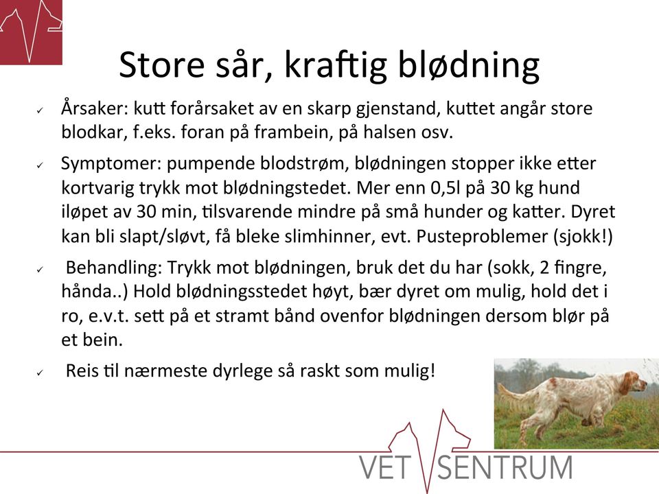 Mer enn 0,5l på 30 kg hund iløpet av 30 min, =lsvarende mindre på små hunder og kager. Dyret kan bli slapt/sløvt, få bleke slimhinner, evt. Pusteproblemer (sjokk!