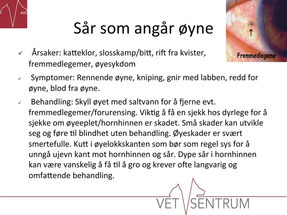 Vik=g å få en sjekk hos dyrlege for å sjekke om øyeeplet/hornhinnen er skadet. Små skader kan utvikle seg og føre =l blindhet uten behandling.