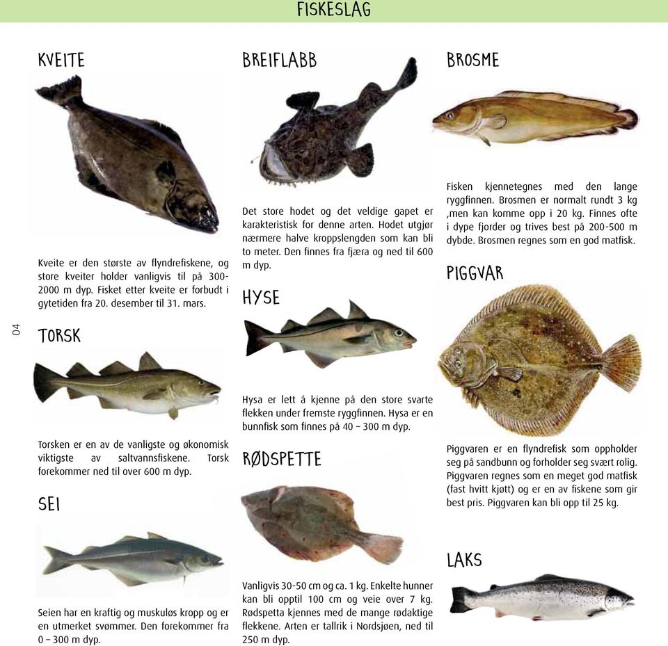 Den finnes fra fjæra og ned til 600 m dyp. Hyse Fisken kjennetegnes med den lange ryggfinnen. Brosmen er normalt rundt 3 kg,men kan komme opp i 20 kg.