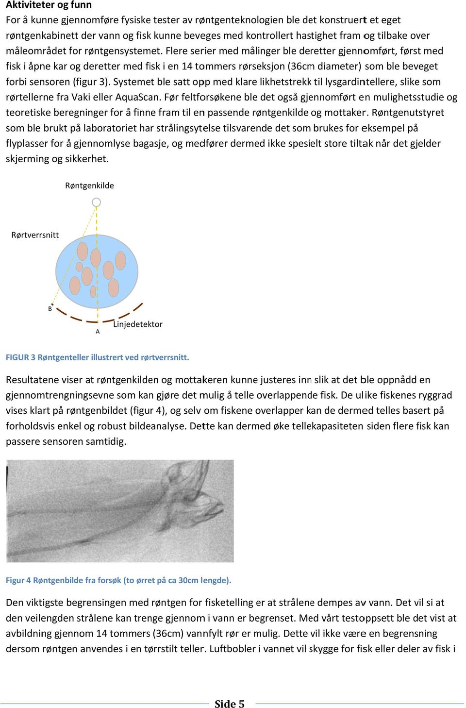 Flere serier med målinger ble deretter gjennomført, førstt med fisk i åpne kar og deretter med fisk i en 14 tommers rørseksjon (36cmm diameter) som ble beveget forbi sensoren (figur 3).