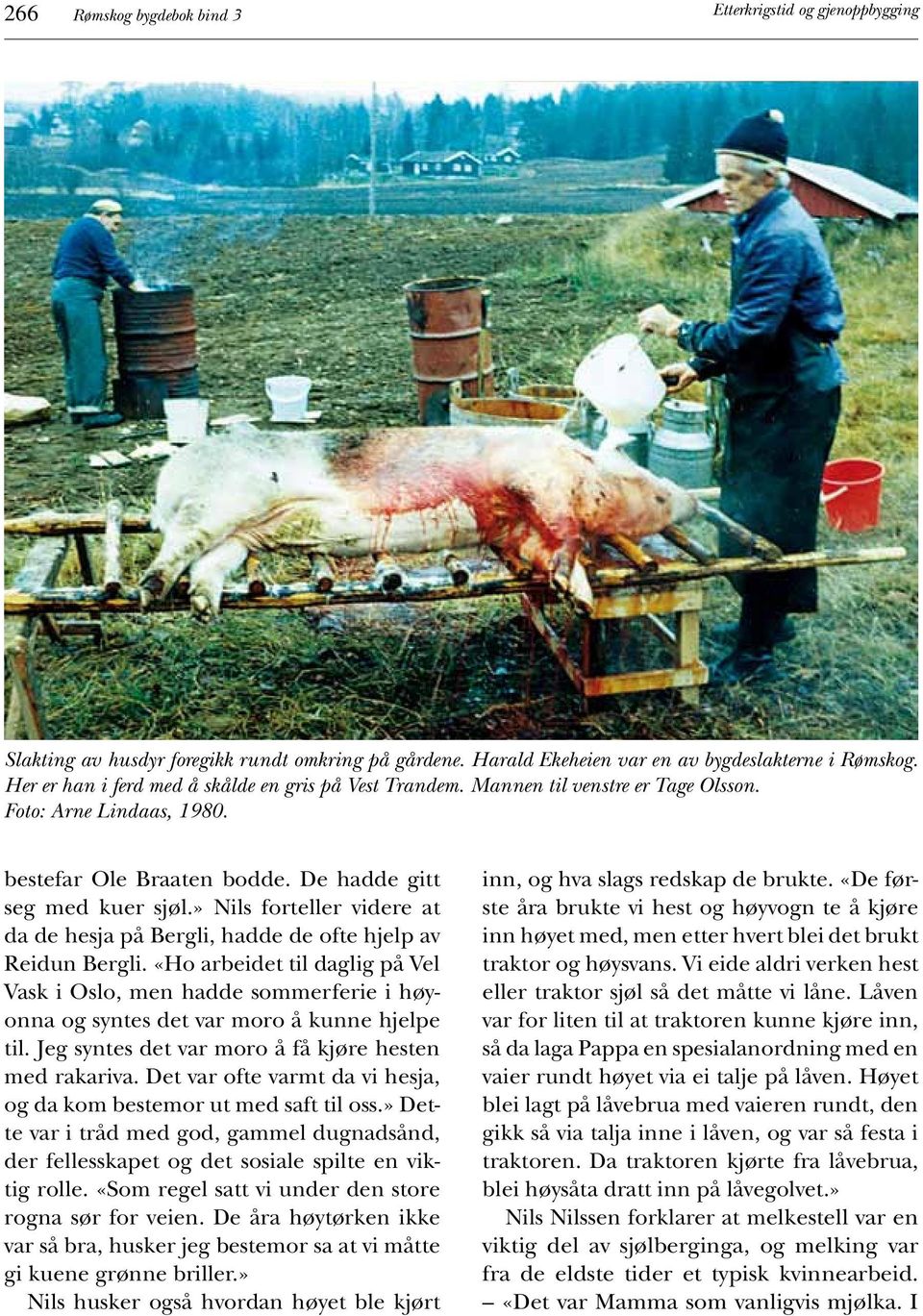 » Nils forteller videre at da de hesja på Bergli, hadde de ofte hjelp av Reidun Bergli.