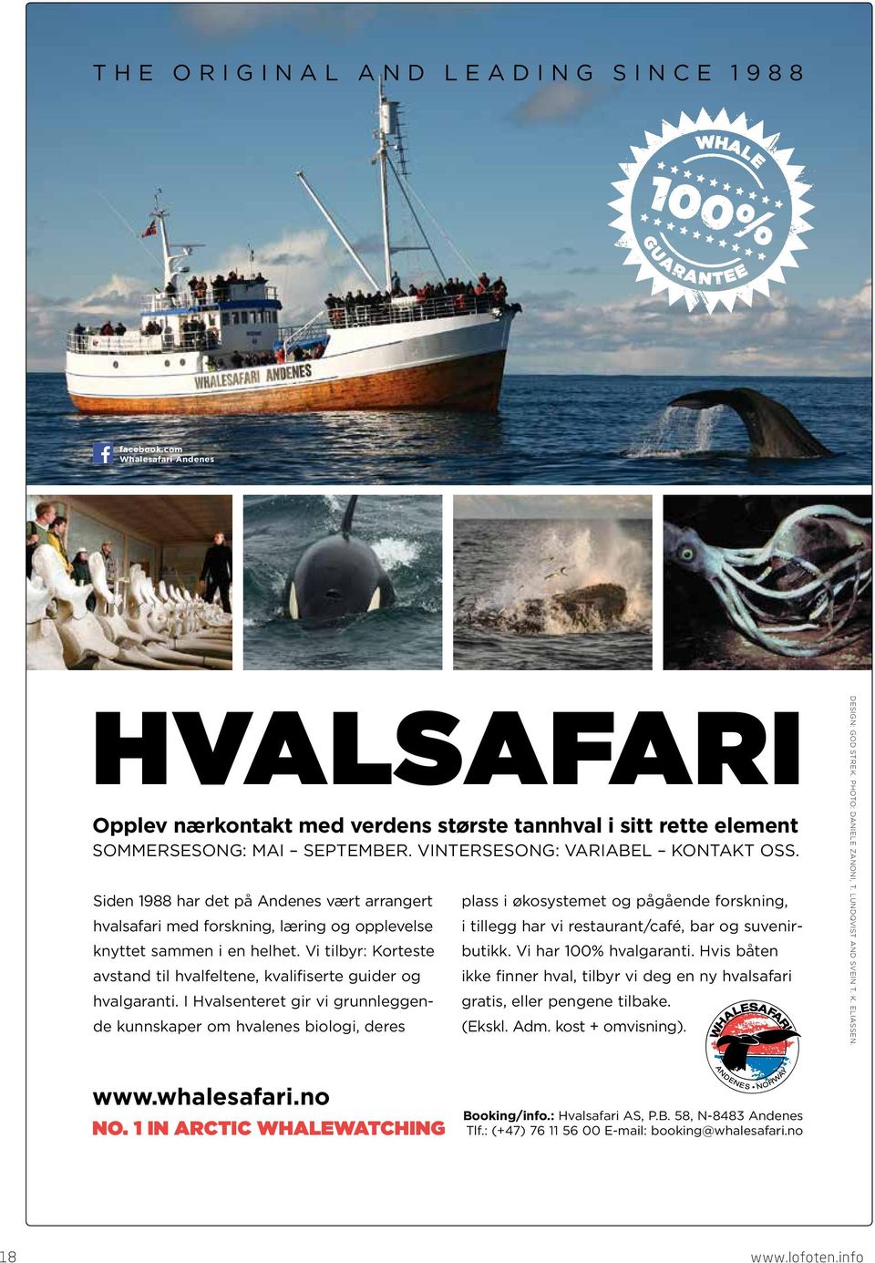 Vi tilbyr: Korteste avstand til hvalfeltene, kvalifiserte guider og hvalgaranti.