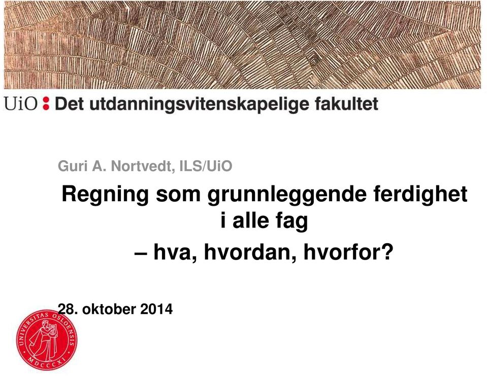 som grunnleggende ferdighet