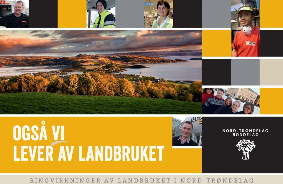 ringvirkninger av 