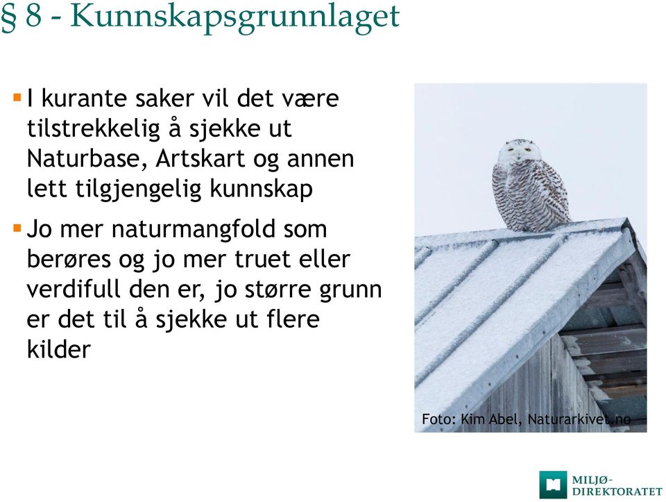 naturmangfold som berøres og jo mer truet eller verdifull den er, jo