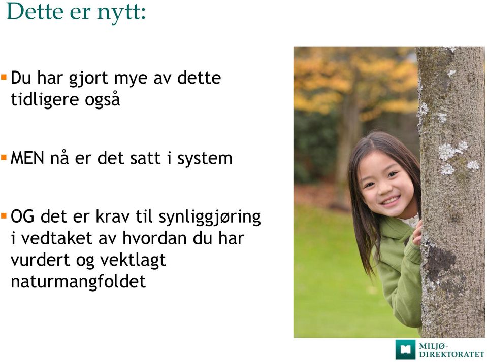 det er krav til synliggjøring i vedtaket av