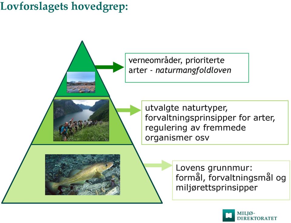 forvaltningsprinsipper for arter, regulering av fremmede