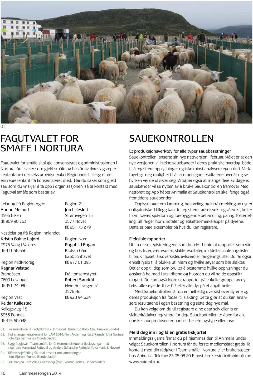 Har du saker som gjeld sau som du ynskjer å ta opp i organisasjonen, så ta kontakt med Fagutval småfe som består av: Leiar og frå Region Agro: Audun Meland 4596 Eiken tlf: 909 90 763 Nestleiar og frå