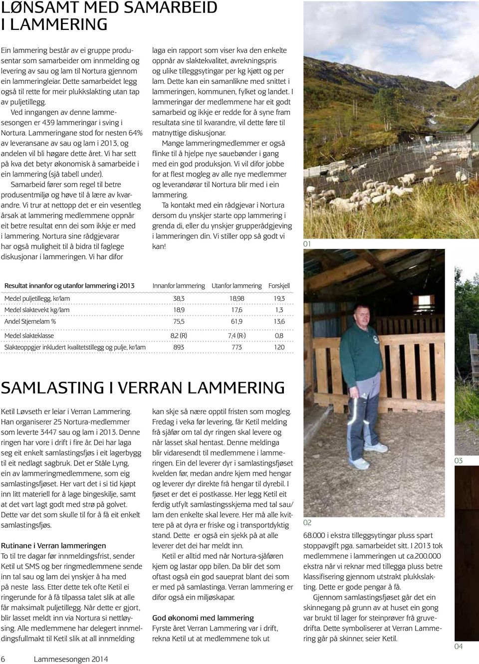 Lammeringane stod for nesten 64% av leveransane av sau og lam i 2013, og andelen vil bli høgare dette året. Vi har sett på kva det betyr økonomisk å samarbeide i ein lammering (sjå tabell under).