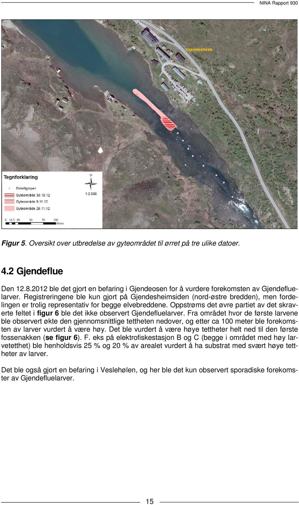 Oppstrøms det øvre partiet av det skraverte feltet i figur 6 ble det ikke observert Gjendefluelarver.