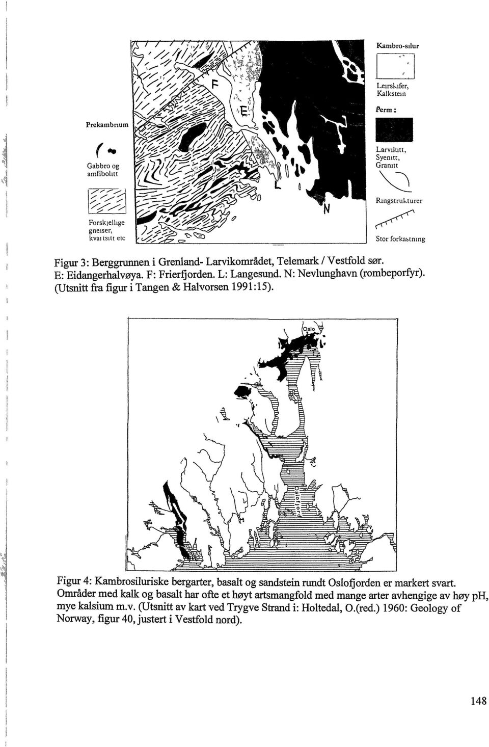 Figur 4: Kambrosiluriske bergarter, basalt og sandstein rundt Oslofjorden er markert svart.