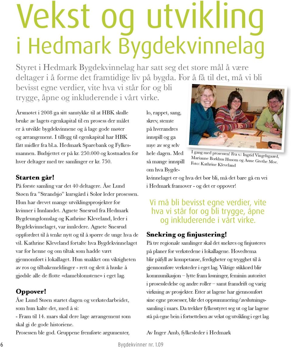 Årsmøtet i 2008 ga sitt samtykke til at HBK skulle bruke av lagets egenkapital til en prosess der målet er å utvikle bygdekvinnene og å lage gode møter og arrangement.