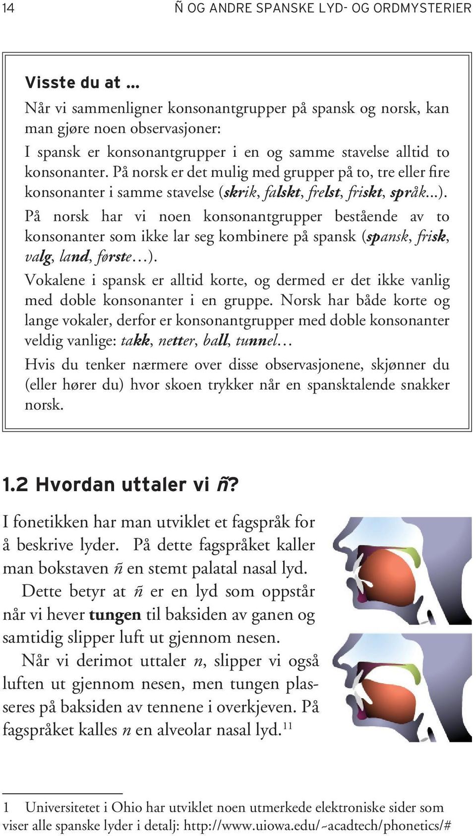 På norsk har vi noen konsonantgrupper bestående av to konsonanter som ikke lar seg kombinere på spansk (spansk, frisk, valg, land, første ).