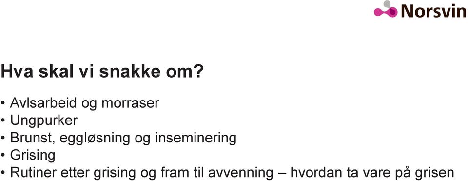 eggløsning og inseminering Grising