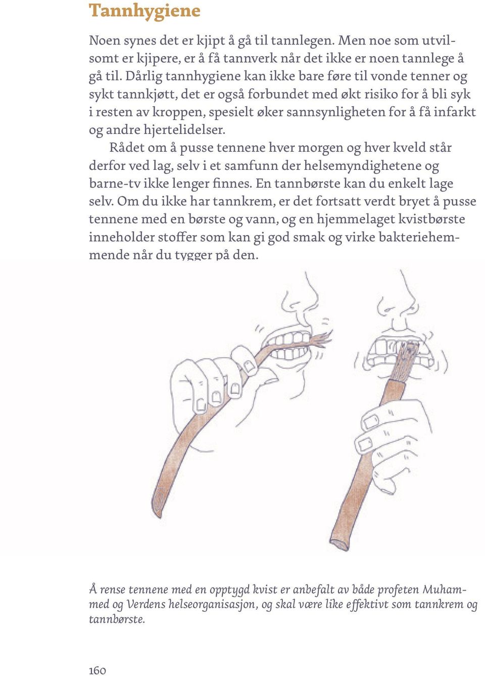 andre hjertelidelser. Rådet om å pusse tennene hver morgen og hver kveld står derfor ved lag, selv i et samfunn der helsemyndighetene og barne-tv ikke lenger finnes.